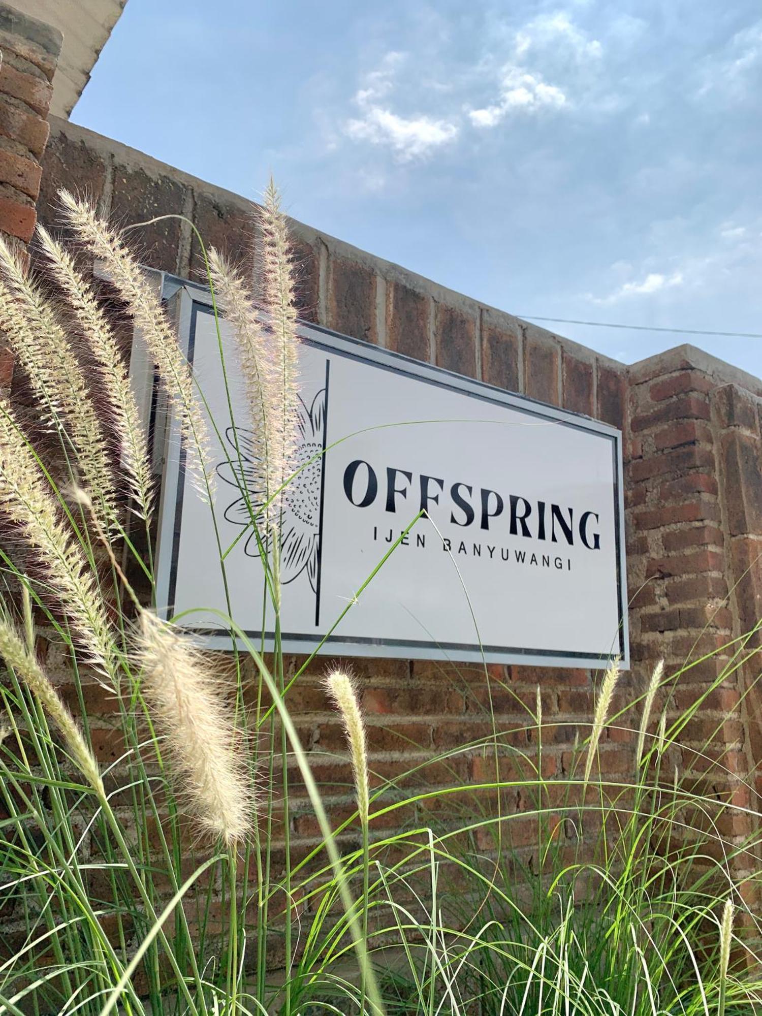 Offspring Ijen Hostel Banyuwangi Buitenkant foto